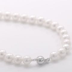 Colar Pérolas Natural Agua Doce  8mm Fecho Prata 925   ZZ006 Natural Pearls Necklace  8mm